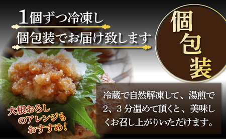 土佐あかうしと四万十ポークのハンバーグ　５個セット _yj070