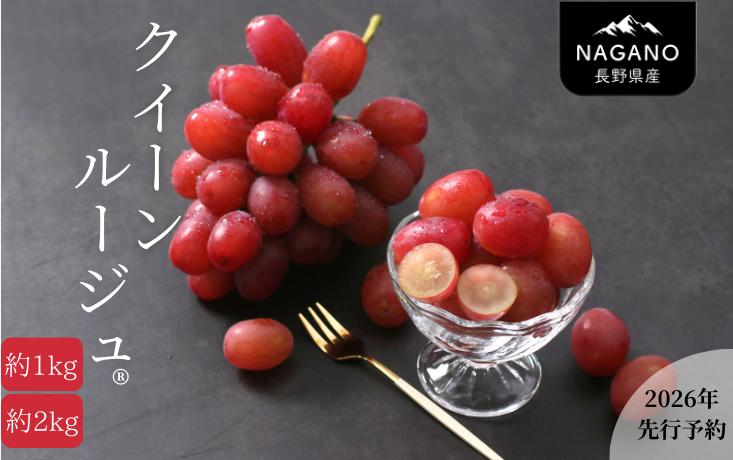 
                  【先行予約】 ぶどう クイーンルージュ®（長野県産秀品） 約1kg or 約2kg / 2026年10月中旬～11月上旬頃 配送予定 // 稀少 新品種 長野県 南信州 高糖度 葡萄 ブドウ 甘い 種なし 皮ごと MS34 MS35
                