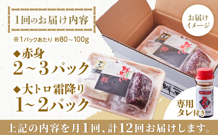 【全12回定期便】国内肥育 馬刺し 大トロ霜降り赤身セット 約300g ( 大トロ霜降り 約100g 赤身 約200g ) 専用タレ付き 熊本 冷凍 馬肉 馬刺【有限会社 丸重ミート】[YAK043]