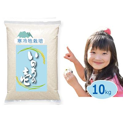 ふるさと納税 真庭市 【令和8年 新米】3回日本一米と同種 いのちの壱 白米 10kg 5kgx2 岡山の雪国産