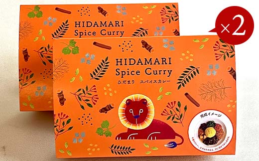 【3ヶ月連続定期便】ひだまり薬膳スパイスカレー 4個 冷凍 薬膳 スパイスカレー カレー スパイス デトックス 保存食 ジビエ 低糖質 ターメリックライス F4F-4366