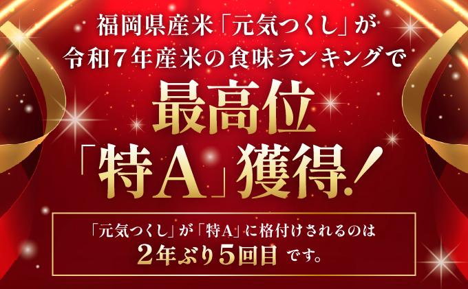 【3ヶ月定期便】福岡県産米 元気つくし 15kg 令和7年産 ※北海道・沖縄・離島は配送不可【精米 7年産 国産 福岡県産 お米 ブランド米 15kg げんきつくし】CY013sub3 【3ヶ月定期便