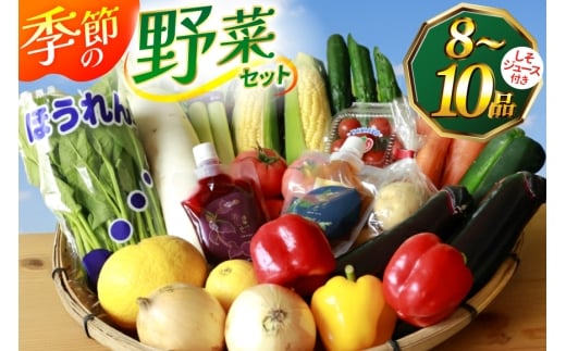 AJ314 季節の野菜・果物セット 8～10品 しそジュース付き [ 野菜 詰合せ 長崎県 島原市 ]
