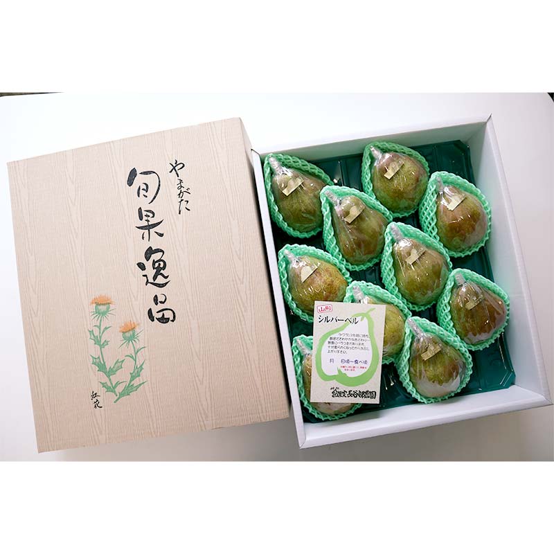 【ふるさと納税】 【令和7年産先行予約】 大玉 シルバーベル 約5kg (8～10玉 特秀) 《令和7年12月中旬～発送》 『長谷部農園』 洋梨 果物 フルーツ 産地直送 生産農家直送 山形県 南陽市 [1161]