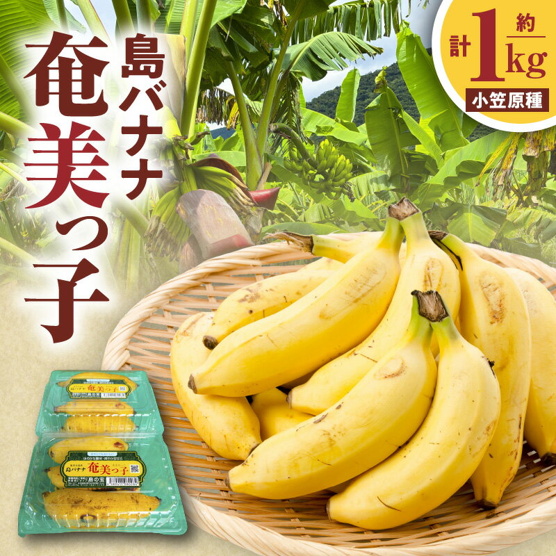 【ふるさと納税】【期間限定】 島バナナ 奄美っ子 小笠原種 約1kg 500g × 2P 限定 バナナ 小ぶり 濃厚 甘い 美味しい フルーツ 果物 果実 デザート 朝ごはん 朝食 島の宝合同会社 ふるさと納税 鹿児島 奄美市 おすすめ ランキング プレゼント ギフト
