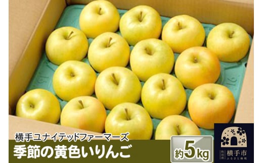 
季節の黄色いりんご 約5kg
