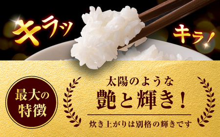 【★先行予約★ 2025年7月中旬より発送】ヒノヒカリ 10kg 広川町 / イートウェル株式会社[AFAK307]