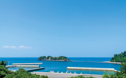 L4-03 海浜旅庵しおじ1泊2食宿泊券（岬ガザミ御膳）_イメージ4