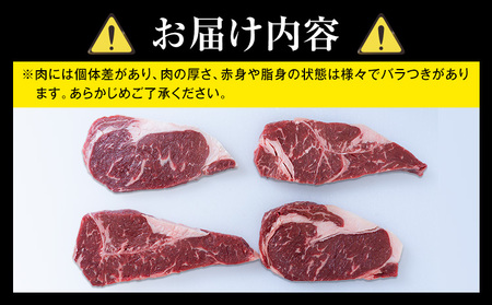 熊本県 国産牛 サーロインステーキ 900g 