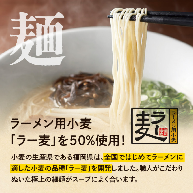 一風堂白丸ラー麦麺セット（22食）  ラーメン とんこつ 豚骨 豚骨スープ ストレート麺 ラー麦 本格 福岡 ご当地 お取り寄せ
