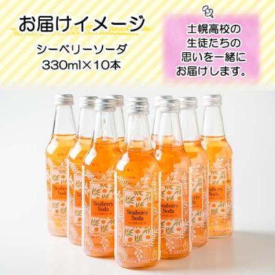 ふるさと納税 士幌町 シーベリーソーダ 330ml×10本  士幌高校生開発 サジー 十勝 士幌町【C01】 |  | 03