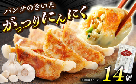 【1パック】餃子屋ヒロの がっつりにんにく餃子 ぎょうざ[BDAS004-1]