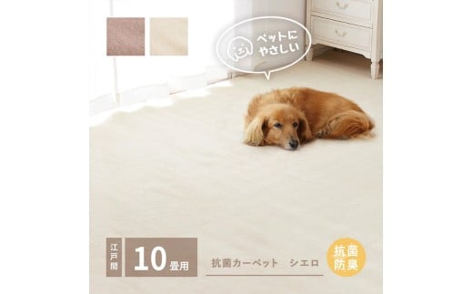 【ブラウン】ペットにもやさしい 抗菌。防臭カーペット シエロ 江戸間10帖 1枚 600094510