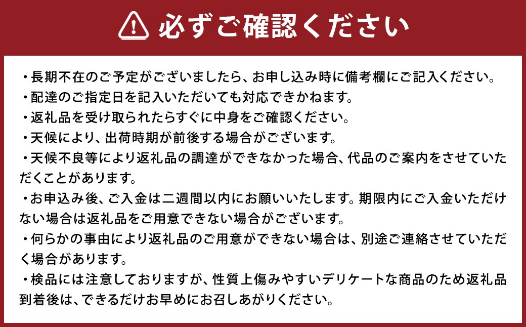 さつまおとめ 約250g×2トレー 合計 約500g