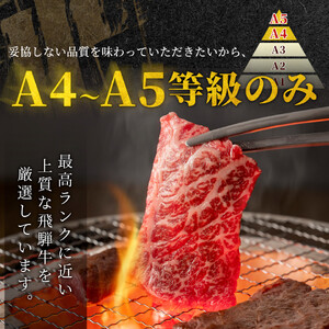【最短発送】 飛騨牛 もも 焼肉 1kg(500g×2p) BBQ 赤身 小分け 肉のひぐち