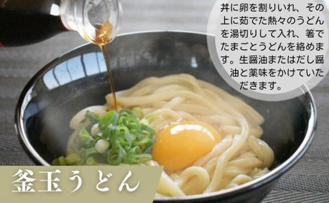 うどん さぬきうどん 半生 つゆパック付 18人前