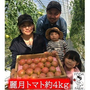 トマト 麗月トマト 産地直送 岡山県産 トマト【約4kg】【先行予約】