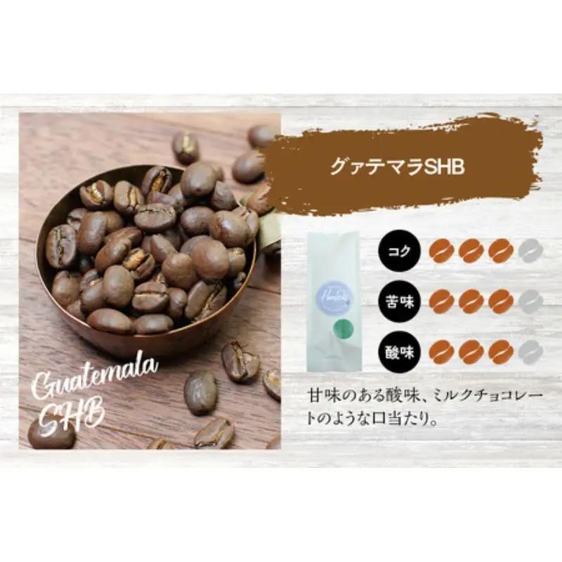 【細挽き】（ブレンド3+グァテマラ2）挽き立てコーヒー豆 750gセット コーヒー豆 焙煎 コーヒー【hgo001A-a-07】