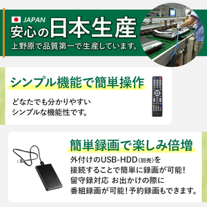 テレビ 24V型 ハイビジョン 液晶テレビ 家電 ダイコーアペックス (AP2440BJ)  壁掛けテレビ 置き型テレビ 国産テレビ 24V型テレビ