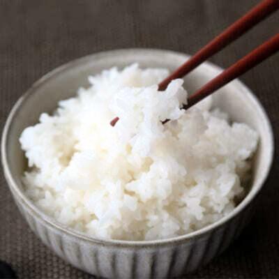 ふるさと納税 三条市 先行受付 新潟県産コシヒカリ従来品種10kg 食味検査で高評価[飯塚農園]【020S057】 |  | 02