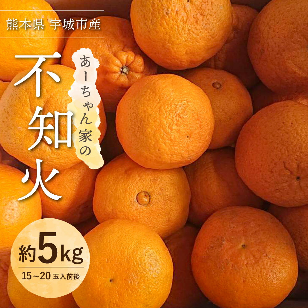 【ふるさと納税】【先行予約】 不知火 あーちゃん家の不知火 約5kg (15〜20玉前後) 【2026年4月上旬〜5月下旬発送予定】 しらぬい 柑橘 熊本県産 九州産 国産 宇城市産 早川果樹園