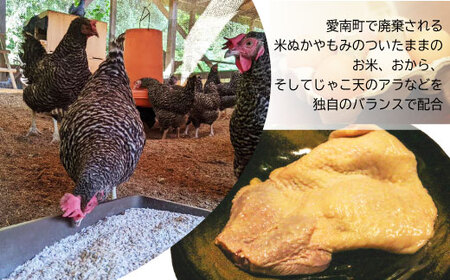 地鶏 愛媛 媛っこ地鶏 もも肉 約4kg ローカルスタンダード 愛媛 愛南