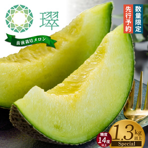 【先行予約】養液栽培メロン「璻」1玉【Special】（糖度14度以上、重さ1.3㎏以上）【熨斗対応可能】