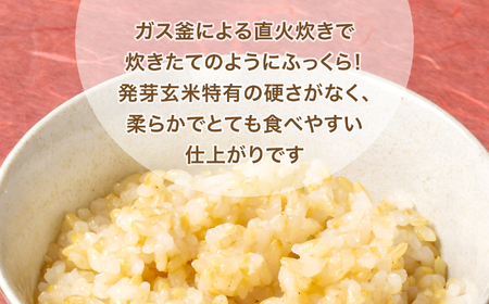 米【 3回 毎月 定期便 】JA加美よつば 金のいぶき 発芽玄米 パックごはん ( 150g × 12個 ) 全3回  [加美よつば農業協同組合 宮城県 加美町 yo00005-r7-3]  玄米 レ
