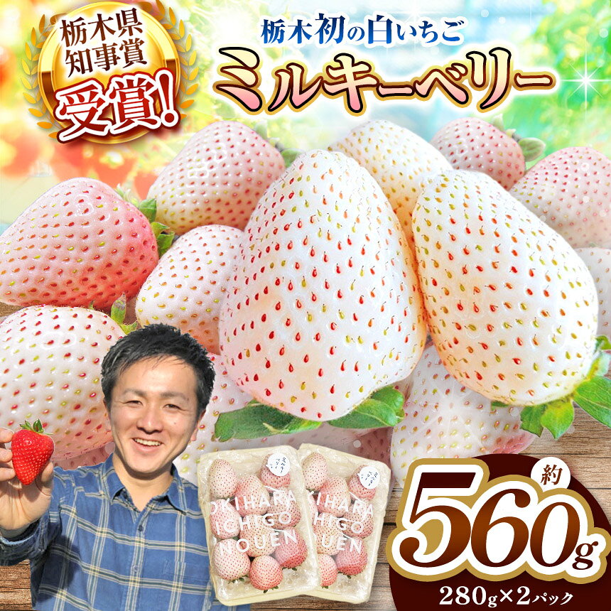 【ふるさと納税】いちご 苺 数量 限定 白いちご ミルキーベリー 選べる 定期便 560g 栃木県産｜【2027年先行予約】フルーツ 果物 貴重 希少 栃木県 矢板市 澳原いちご農園