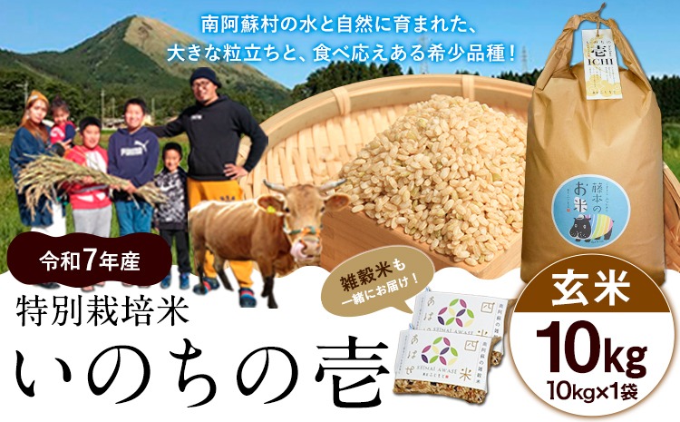 新米 令和7年産 特別栽培米 いのちの壱(玄米)10kg×1 雑穀米付き《10月中旬-11月下旬頃出荷》 熊本県 南阿蘇村 熊本県産 虹色のかば 雑穀米---sms_inci6_k1011_r7_30000_g10kg---