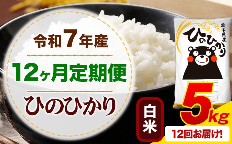 【12ヶ月定期便】 令和7年産 白米 ひのひかり 定期便 5kg《お申込み翌月から出荷》 熊本県産 ふるさと納税 精米 ひの 米 こめ ふるさとのうぜい ヒノヒカリ コメ お米---mifune_lcl_1014_mo12---