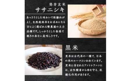 ササニシキ発芽玄米と黒米を炊いたごはん150g×16パック（有機栽培玄米使用）