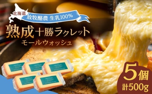 北海道 十勝ラクレット モールウォッシュ 100g×5個《足寄町》【合同会社あしょろチーズ工房】 北海道産 十勝チーズ ラクレット 温泉水 乳製品 生乳 加工品 濃厚 冷蔵 十勝 あしょろ 16000 16000円 [BEAU004]