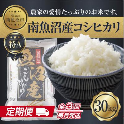 ふるさと納税 南魚沼市 【毎月定期便】南魚沼産 コシヒカリ 精米 30kg(美味しい炊き方ガイド付)全3回