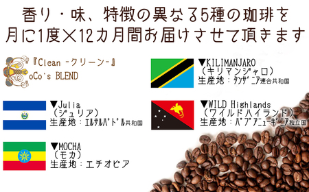 【宝塚】12ヶ月の定期便（当日自家焙煎珈琲豆5種類）Qグレード【豆】