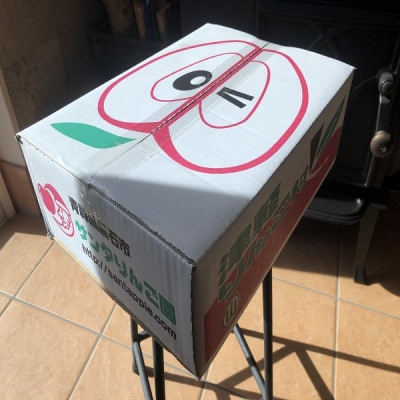 甘くてシャキシャキ!　青森県産りんご　ぐんま名月　家庭用　約3キロ　農家直送【1699143】