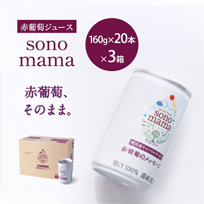 【ふるさと納税】赤葡萄ジュース「sonomama」（160g×20本）×3箱 ぶどう ブドウ ジュース ぶどうジュース 飲料