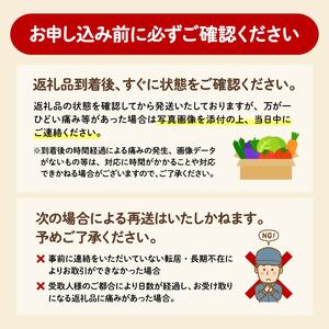 【 全3回定期便 】 野菜 詰め合わせ 産地 直送 10～14種 減農薬 栽培 旬 採れたて やさい 家庭用 健康 食材 静岡県 藤枝市 