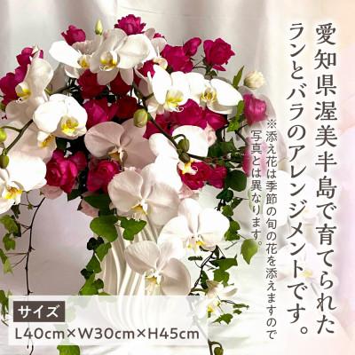 ふるさと納税 田原市 器に盛ったランとバラのアレンジ LL　ギフト・プレゼントに最適 愛知県田原市 |  | 01