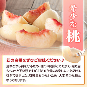 ≪先行受付≫ 甘～い プレミアム白桃 約5kg【2025年8月中旬頃～発送予定】 060-015