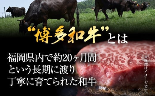 【A4～A5】博多和牛モモステーキ 約500g 黒毛和牛 お取り寄せグルメ お取り寄せ お土産 九州 福岡土産 取り寄せ グルメ MEAT PLUS CP040