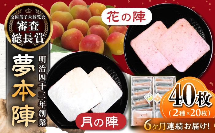 【6回定期便】夢本陣 40枚（2種×20枚） /恵比須堂 [UBQ019] お菓子 煎餅 せんべい 和菓子