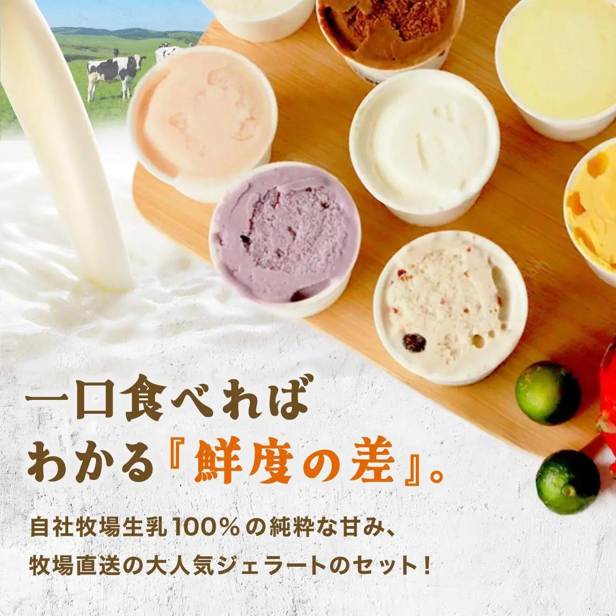 石垣島ミルミル本舗　ミルミル人気ジェラートセット（132ml×12個）