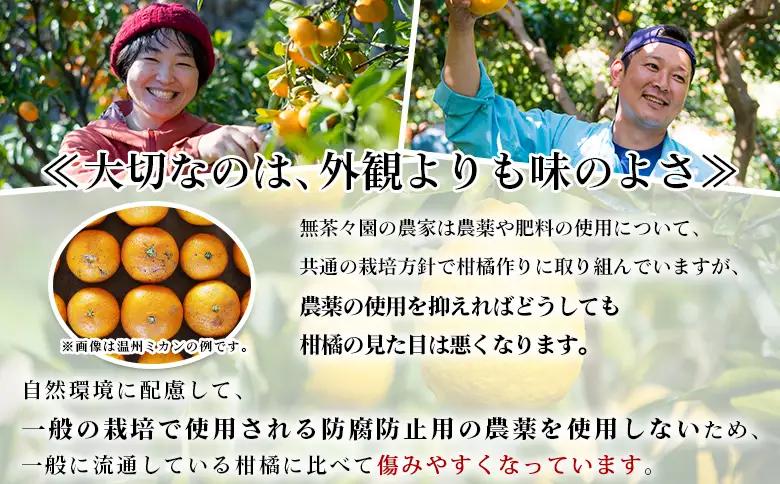 ＜無茶々園のひょう柑 約5kg＞ 【先行予約】果物 みかん ミカン 蜜柑 柑橘 フルーツ ひょうかん 弓削瓢柑 特産品 愛媛県 西予市【常温】『2027年4月～5月上旬迄に順次出荷予定』AMC0067