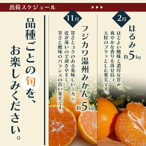 みかん 定期便 5回 フルーツ フジカワ果樹園オリジナル（新季節の柑橘セット） 果物 温州みかん はるみ 讃岐しらぬひ セミノール 甘夏柑 柑橘類 5ヶ月 