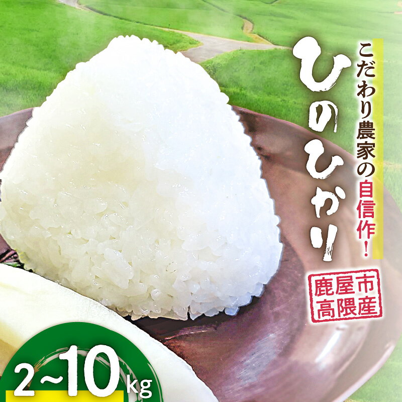 【ふるさと納税】＜選べる＞こだわり農家の自信作 鹿屋市高隈産 ひのひかり 2kg ～ 10kg 米 お米 こめ コメ ご飯 主食 高隈米 美味しい おいしい 国産 ハマダ商事 鹿児島 鹿屋市 おすすめ ランキング プレゼント ギフト