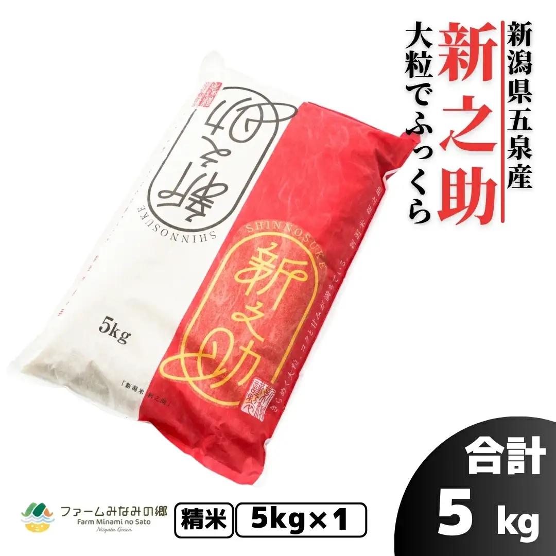 【先行予約】令和8年産 新米 新之助 5kg 精米 | 新潟県 五泉市 新之助