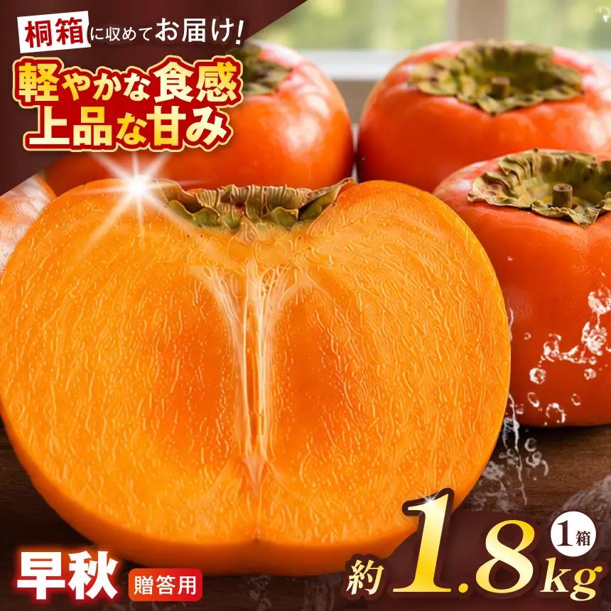 【贈答用・桐箱】 早秋 柿 ( 6個 / 1.8kg ) 1箱 先行予約 令和8年10月中旬順次発送 | さのっち農園