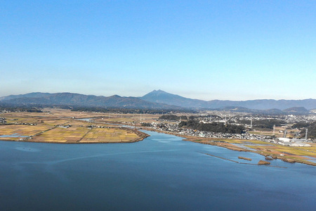 いちご いばらキッス 4p いちご家のむのむ イチゴ 苺 4パック 国産 果物 フルーツ くだもの 1月 2月 発送 冬 旬 産地直送 農家直送 産直 甘い デザート スイーツ 家庭用 贈答 贈答用 
