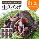 【ふるさと納税】井戸水を使って作られた生きくらげ　約1.2kg(約200g×6p)【配送不可地域：離島】【1139807】